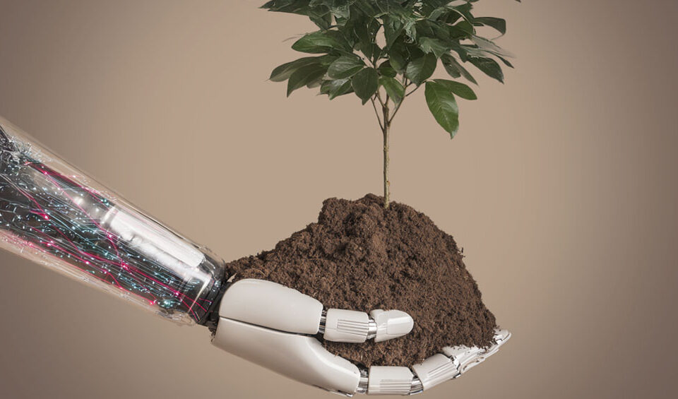 Mano sosteniendo una planta que simboliza el equilibrio entre tecnología y naturaleza – EcoCómputo.